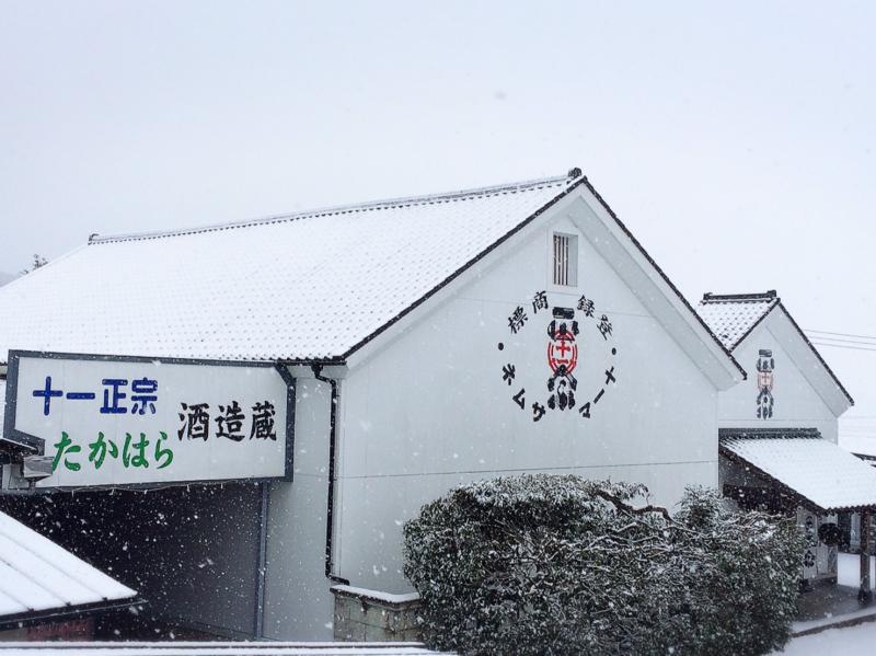 太陽のマルシェ