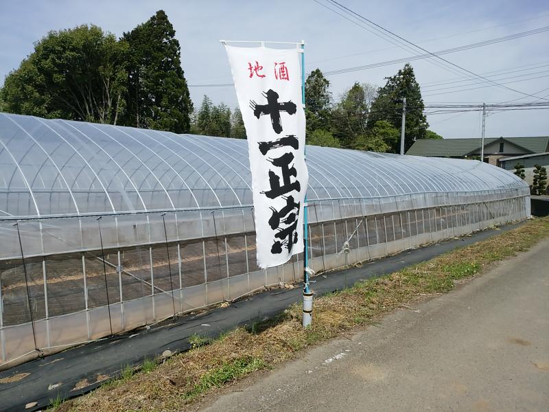 太陽のマルシェ
北仲マルシェ