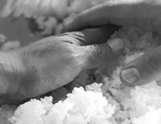 蒸し上がった米